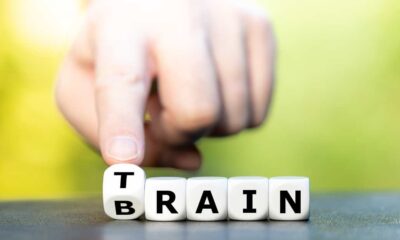 How to Train Your Brain