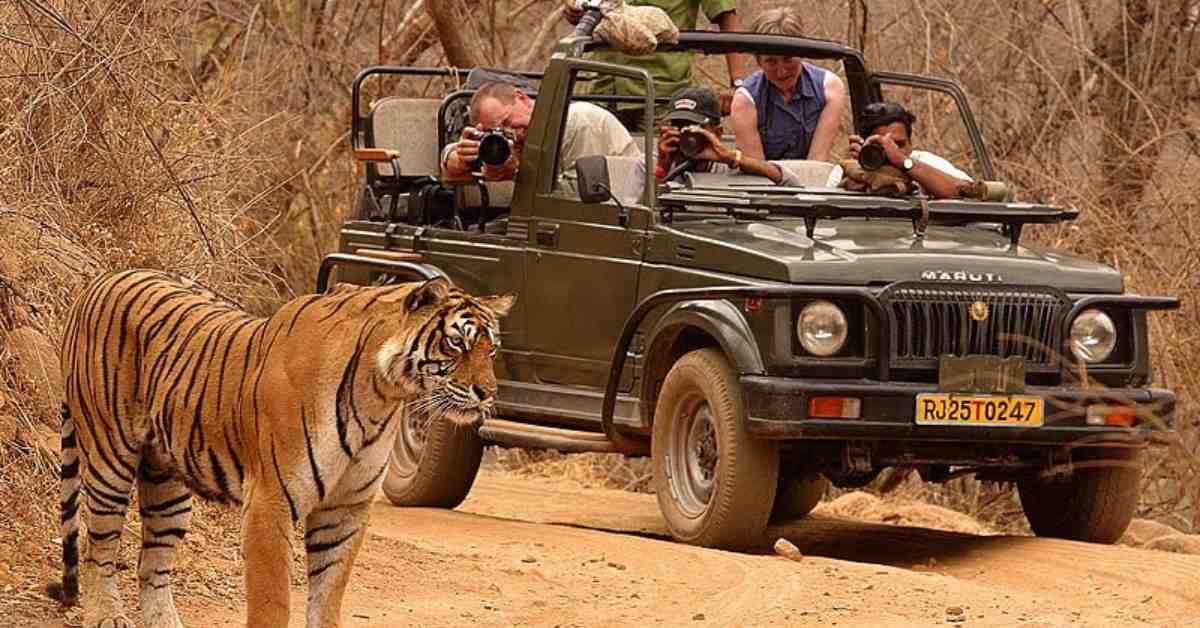 Ranthambore, Rajasthan