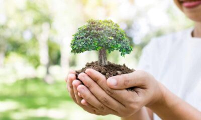 World Environment Day